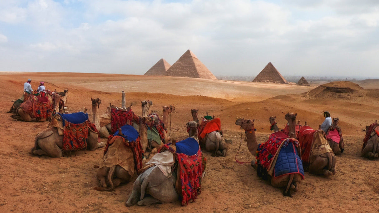 GoPro Enduro 2-Pack for HERO13 Black