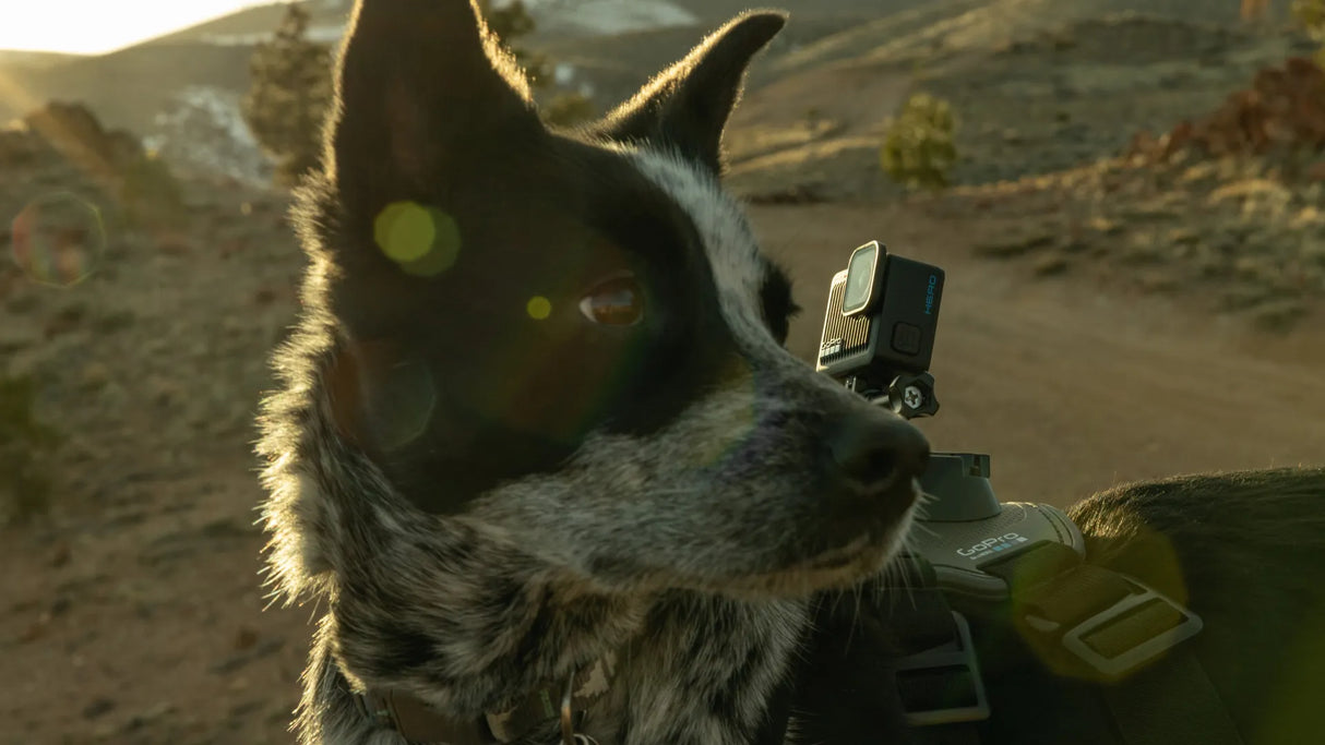 GoPro Hero Specialty Bundle