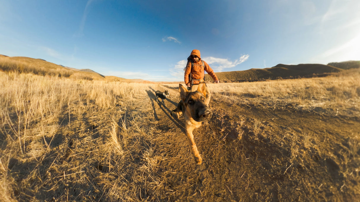 GoPro 4ft (1.2m) Extension Pole