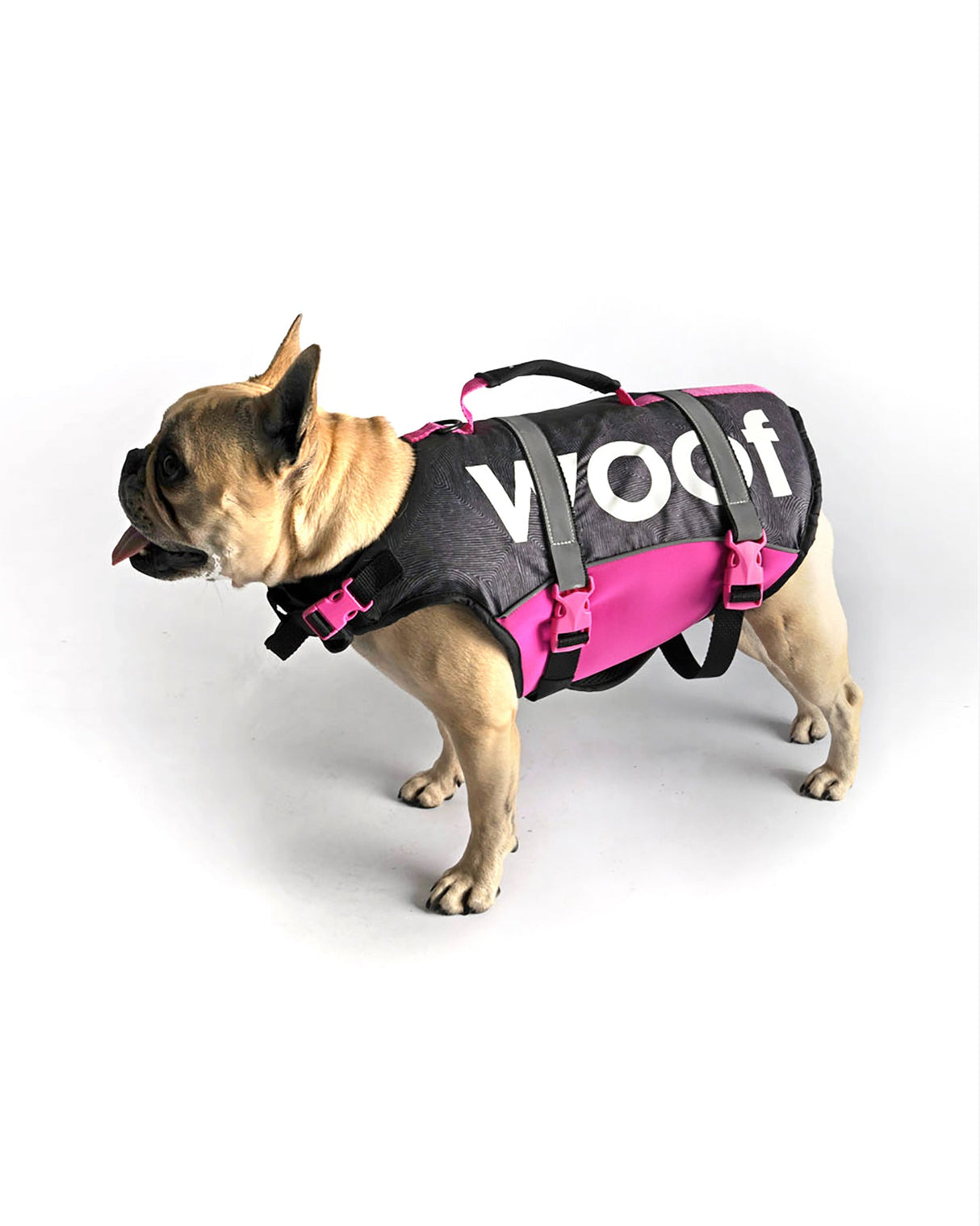 Follow Dog Floating Aid - Pink