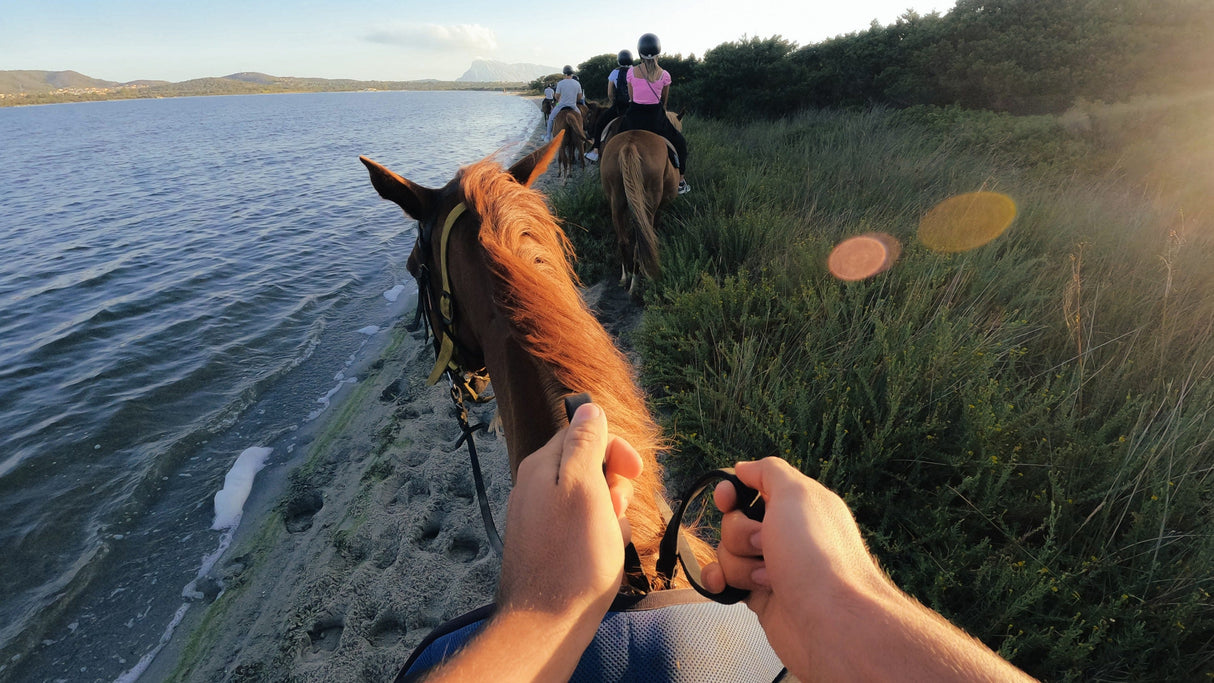 GoPro Head Strap 2.0