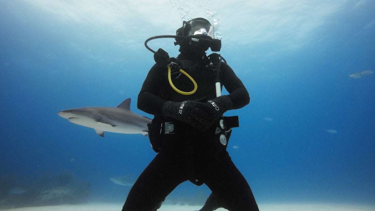 GoPro Dive Housing Hero11 Black Mini