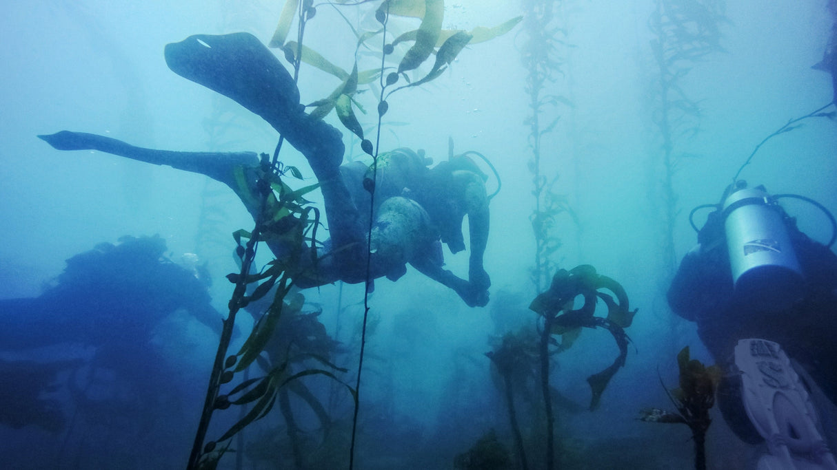 GoPro Dive Housing Hero11 Black Mini