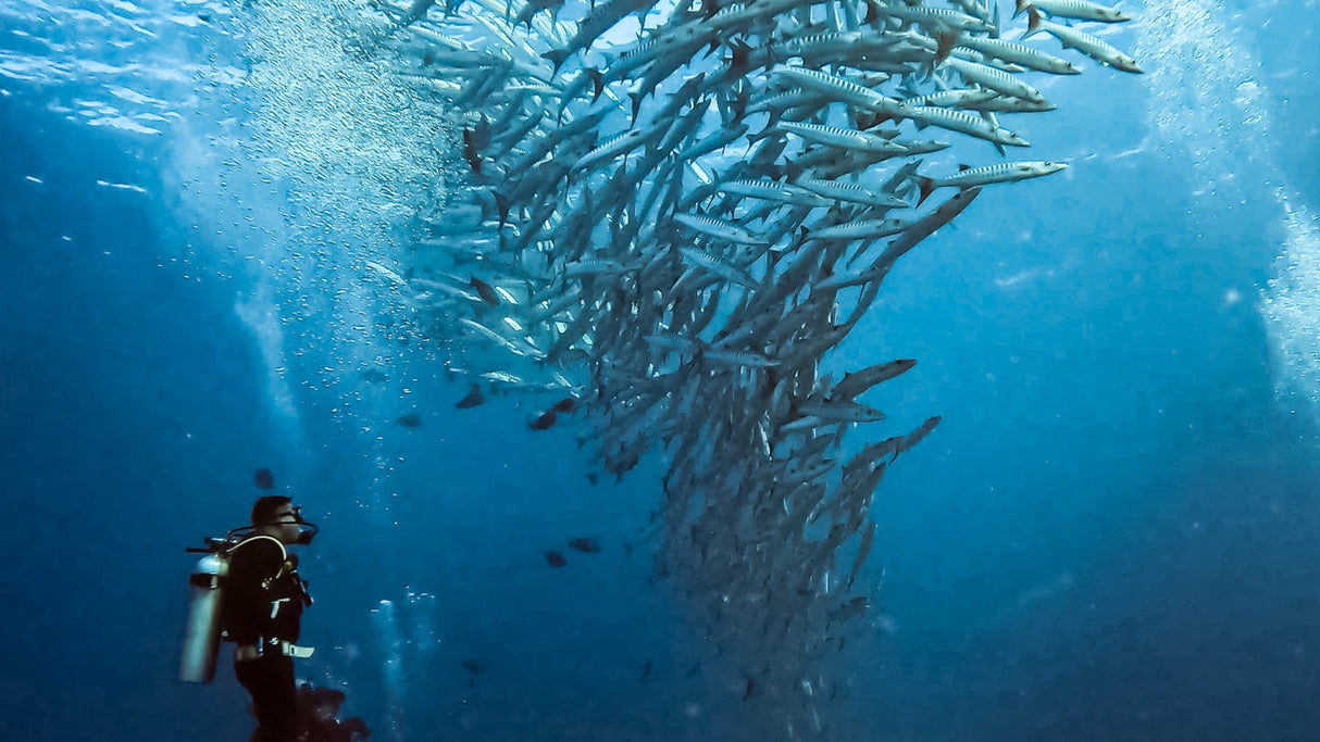 GoPro Protective Housing