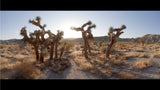 GoPro Anamorphic Lens Mod