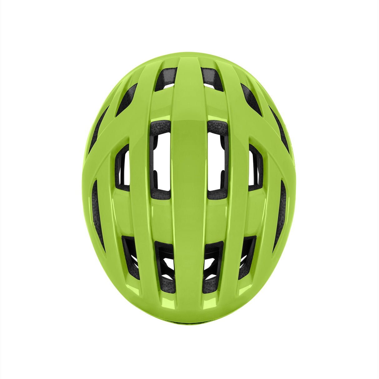 Smith Zip JR Algae