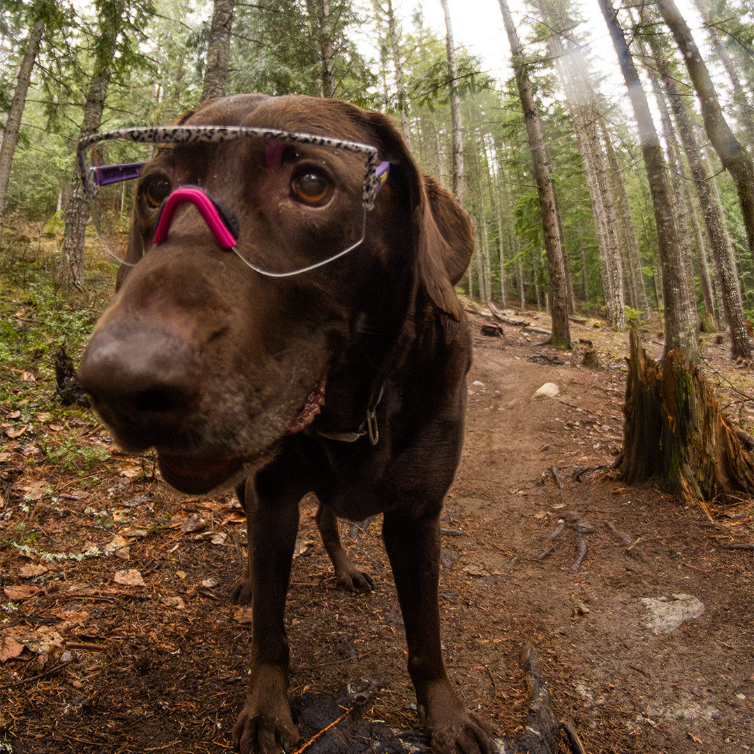 / Smoke | isnt_this_nice.JPG | Man mountain biking in The Son Of Beach Try-Hard from Pit Viper Sunglasses